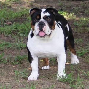 Meet your Posher, Francine